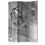 Rumsavdelare Skärmvägg Arkiio Abstract Greyness 135x172 cm