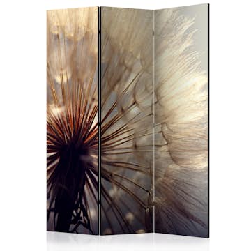 Rumsavdelare Skärmvägg Arkiio Dandelion Kiss 135x172 cm