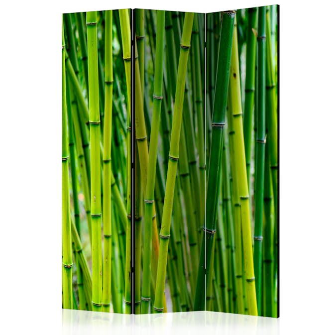 Rumsavdelare Skärmvägg Arkiio Bamboo Forest 135x172 cm
