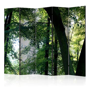 Rumsavdelare Skärmvägg Arkiio Spring in the Park II 225x172 cm