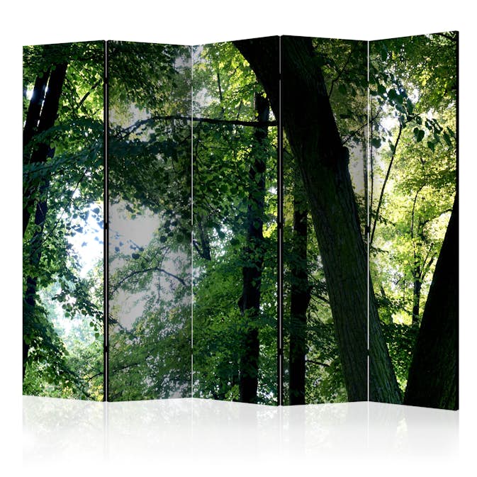 Rumsavdelare Skärmvägg Arkiio Spring in the Park II 225x172 cm