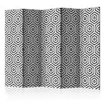 Rumsavdelare Skärmvägg Arkiio Black and White Hypnosis II 225x172 cm