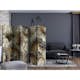 Rumsavdelare Skärmvägg Arkiio Golden Hand-held Fans II 225x172 cm