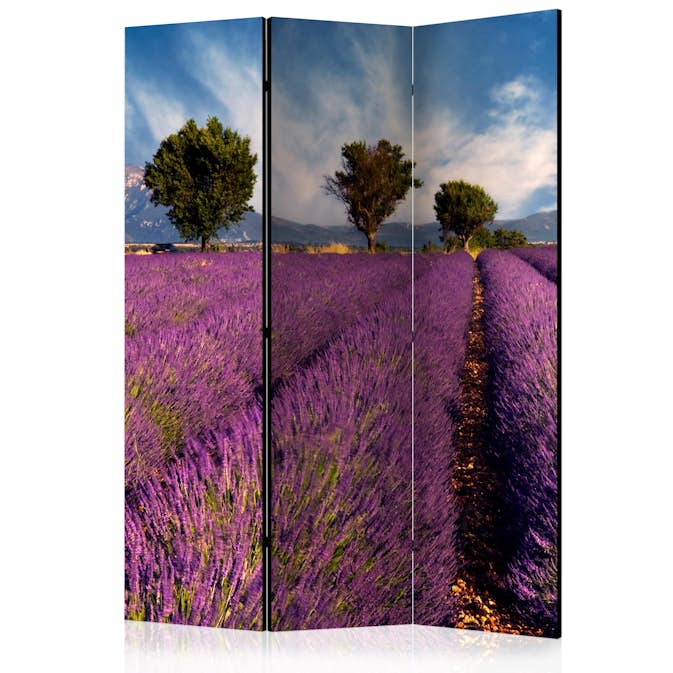 Rumsavdelare Skärmvägg Arkiio Lavender Field In Provence France 135x172 cm