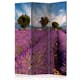 Rumsavdelare Skärmvägg Arkiio Lavender Field In Provence France 135x172 cm