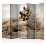 Rumsavdelare Skärmvägg Arkiio Beach and Shell II 225x172 cm