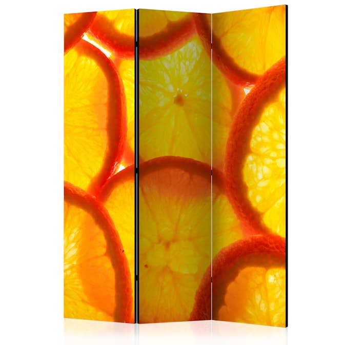 Rumsavdelare Skärmvägg Arkiio Orange Slices 135x172 cm