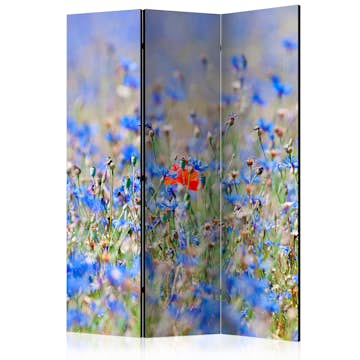 Rumsavdelare Skärmvägg Arkiio A Sky-Colored Meadow Cornflowers 135x172 cm