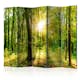 Rumsavdelare Skärmvägg Arkiio Forest Rays II 225x172 cm