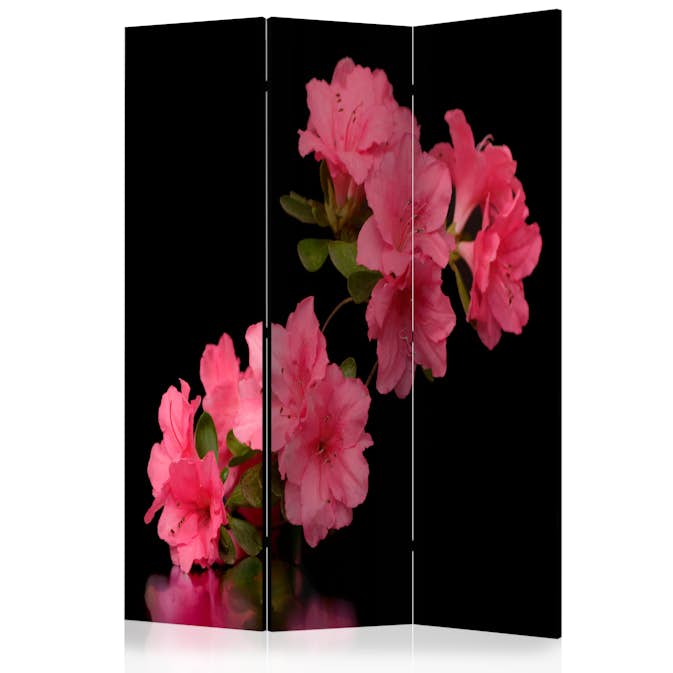 Rumsavdelare Skärmvägg Arkiio Azalea In Black 135x172 cm