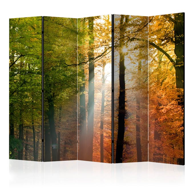 Rumsavdelare Skärmvägg Arkiio Forest Colours II 225x172 cm