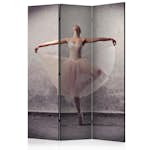 Rumsavdelare Skärmvägg Arkiio Classical Dance Poetry Without Words 135x172 cm