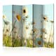 Rumsavdelare Skärmvägg Arkiio Daisies Spring Meadow II Prästkragar 225x172 cm