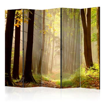 Rumsavdelare Skärmvägg Arkiio Mysterious Forest Path II 225x172 cm