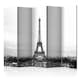 Rumsavdelare Skärmvägg Arkiio Paris Black and White Photography II 225x172 cm