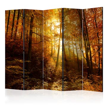 Rumsavdelare Skärmvägg Arkiio Autumn Illumination II 225x172 cm