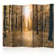 Rumsavdelare Skärmvägg Arkiio Magical Light II 225x172 cm
