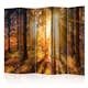 Rumsavdelare Skärmvägg Arkiio Autumn Awakening II 225x172 cm