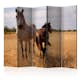 Rumsavdelare Skärmvägg Arkiio Horse And Foal II 225x172 cm