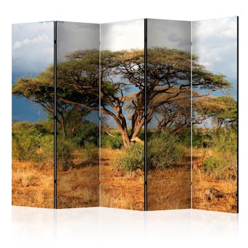 Rumsavdelare Skärmvägg Arkiio Samburu National Reserve Kenya II 225x172 cm