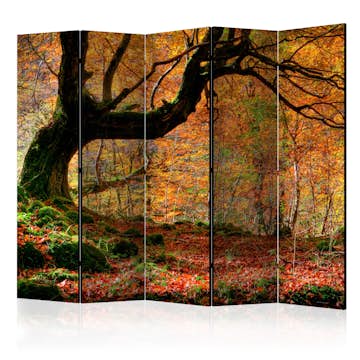 Rumsavdelare Skärmvägg Arkiio Autumn Forest And Leaves II 225x172 cm