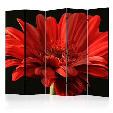 Rumsavdelare Skärmvägg Arkiio Red Gerbera Flower II 225x172 cm