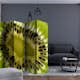 Rumsavdelare Skärmvägg Arkiio Fruits: Kiwi II 225x172 cm
