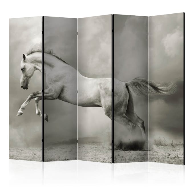 Rumsavdelare Skärmvägg Arkiio Wild Stallion II 225x172 cm