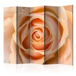 Rumsavdelare Skärmvägg Arkiio Peach-Colored Rose II 225x172 cm