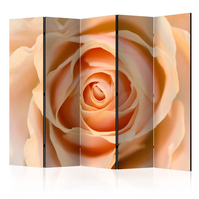 Rumsavdelare Skärmvägg Arkiio Peach-Colored Rose II 225x172 cm