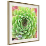 Poster Artgeist Affisch Succulent
