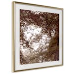 Poster Artgeist Affisch Freedom