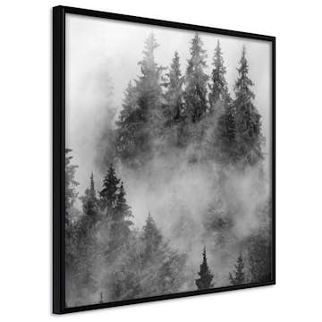 Poster Artgeist Affisch Black Forest