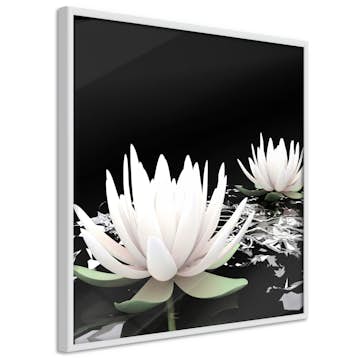 Poster Artgeist Affisch Lotus Flowers