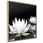 Poster Artgeist Affisch Lotus Flowers