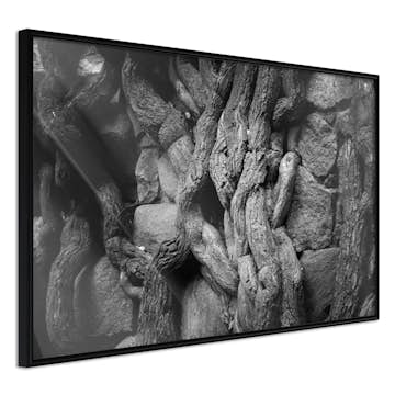 Poster Artgeist Affisch Overgrown Stones