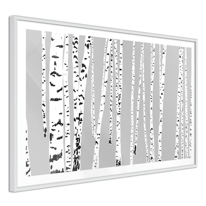 Poster Artgeist Affisch Birch