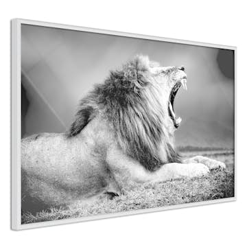 Poster Artgeist Affisch Deafening Roar