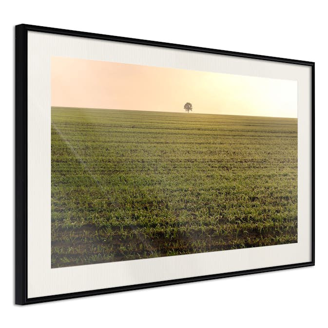 Poster Artgeist Affisch Autumn Morning