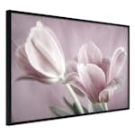 Poster Artgeist Affisch Pink Tulips