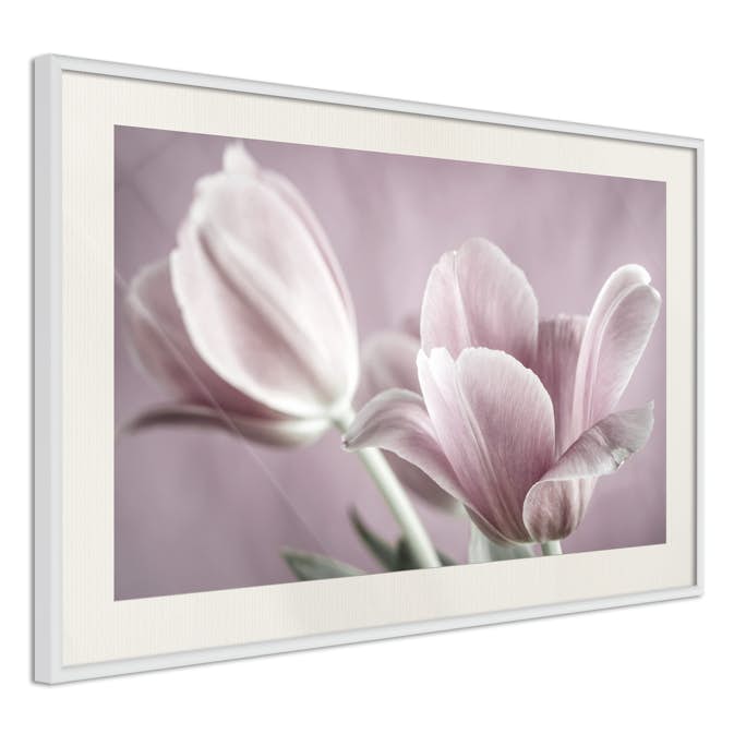 Poster Artgeist Affisch Pink Tulips