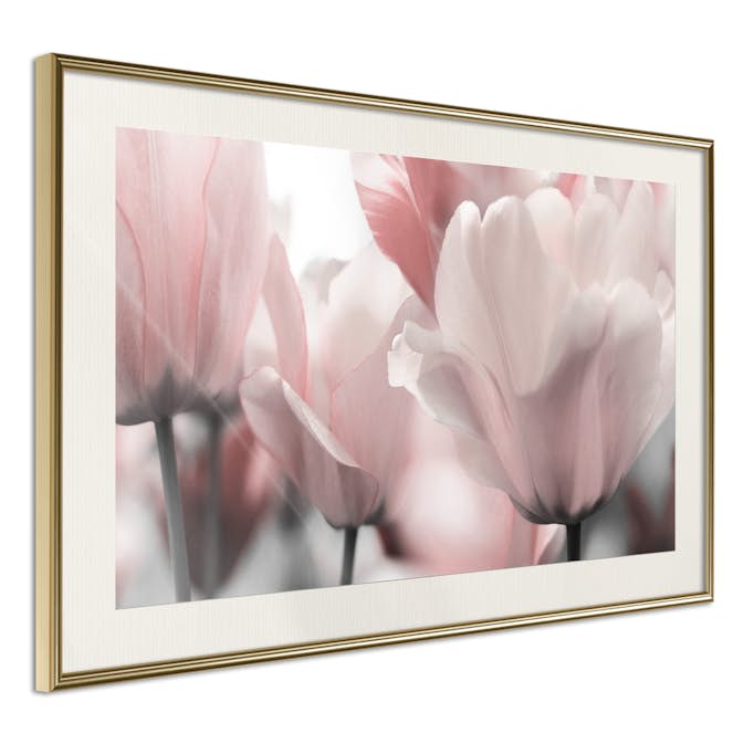 Poster Artgeist Affisch Fabulous Tulips