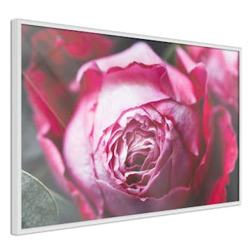 Poster Artgeist Affisch Rose Geometry