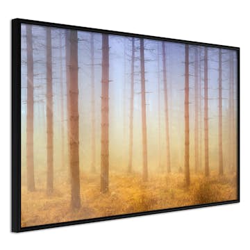 Poster Artgeist Affisch Foggy Forest