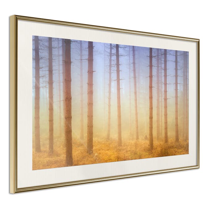 Poster Artgeist Affisch Foggy Forest