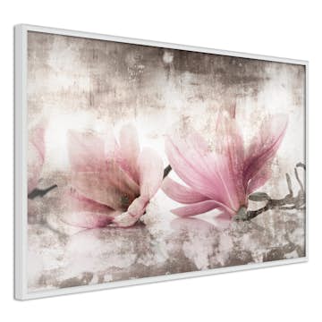 Poster Artgeist Affisch Magnolia Memory