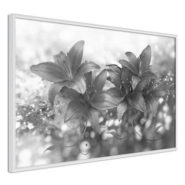 Poster Artgeist Affisch Silver Bouquet