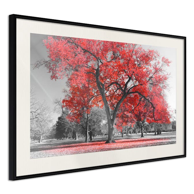 Poster Artgeist Affisch Autumn in the Park Red