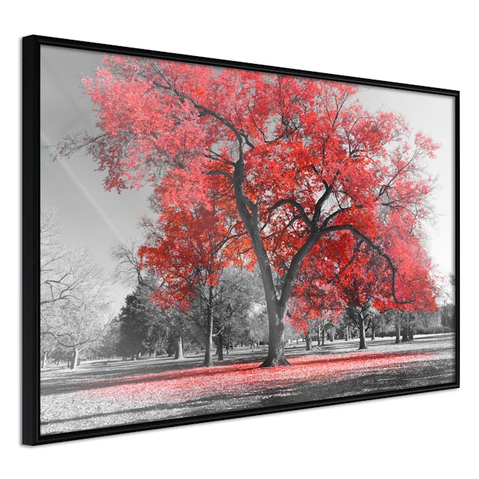Poster Artgeist Affisch Autumn in the Park Red