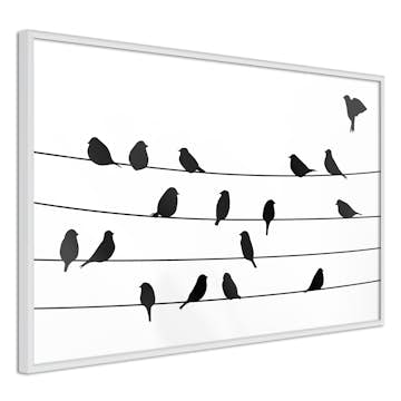 Poster Artgeist Affisch Bird Family